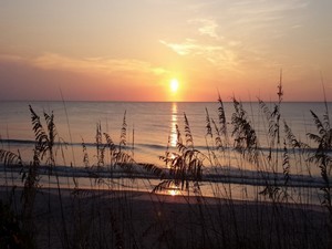 Sea Oats